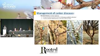 Trunk and Scaffold Diseases of Almonds in California [upl. by Belamy855]