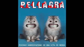 PELLAGRA  MESSO MALE [upl. by Enelehs]