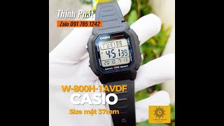 Đồng Hồ CASIO W800H1A Case 37mm dongho donghocasio donghodientu donghothinhphat donghovungtau [upl. by Burger863]