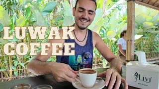 Indonesia Vlog 4  I Have Tasted LUWAK COFFEE ☕ [upl. by Yardley]