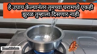 आता एकही झुरळ दिसणार नाही या टिप्स वापरा।Kitchen Tips [upl. by Monjo]