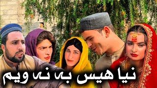 Nia Hes Ba Na Wem  Khpala Weena Drama Episode 56 By Charsadda Vines Director SadiqKhan 2024 [upl. by Bartolomeo]