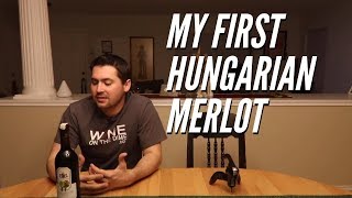 My First Hungarian Merlot St Donatus Balatonboglari Merlot Wine Review [upl. by Nyrok]