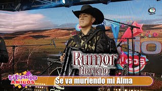 Rumor Norteño  Se va muriendo mi Alma [upl. by Eicam]