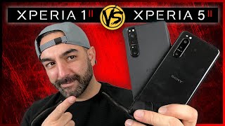 Xperia 1 II Vs Xperia 5 II Camera Comparison  Whats the difference [upl. by Perzan]