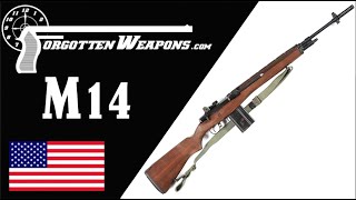 M14 America’s Worst Service Rifle  What Went Wrong [upl. by Enrev]