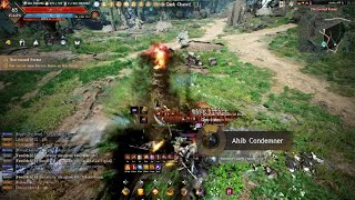 Black Desert Online Consoles  Succession Hashashin vs Awakening Hashashin [upl. by Nelg]