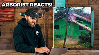 Professional Arborist Reacts to TREE CUTTING FAILS [upl. by Atin783]