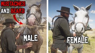 45 Insane Details in RDR2 That You Have Never Seen Before [upl. by Ecenaj]