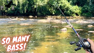 INSANE Bass Fishing a Clear Canyon River  GIVEAWAY [upl. by Anowahs]