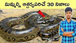 30 interesting facts Telugu  unknown facts  BMC facts  Telugu [upl. by Ybloc]