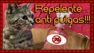 ¡Adiós a las pulgas Aprende a hacer un repelente casero para gatos [upl. by Kresic5]