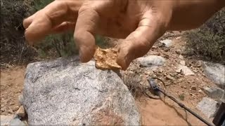 HUGE GOLD NUGGET FOUND IN ARIZONA [upl. by Ahtebat947]