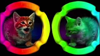 MTM Cat Twins Ident Logo Lets Effects [upl. by Mook146]