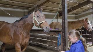 Anastasia Sobeshkevych the Horse Whisperer  In Training [upl. by Darill522]