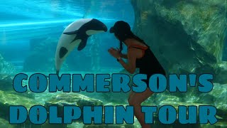 Aquatica’s Commerson’s Dolphin Tour Meeting tiny dolphins [upl. by Barmen592]