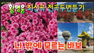 황영웅 신곡 나밖에모르는바보 힐링뮤직 경남양산황산국화축제 양산국화축제 황산공원 [upl. by Urban]