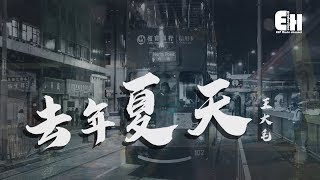 王大毛  去年夏天『還有什麼等待？還有什麼悲哀？』【動態歌詞Lyrics】 [upl. by Robenia]