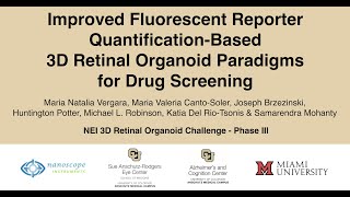 Improved Fluorescent Reporter QuantificationBased 3D Retinal Organoid Paradigms for Drug Screening [upl. by Wilmott]