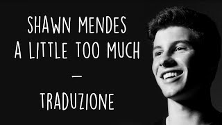 Shawn Mendes  A Little Too Much Traduzione ITA [upl. by Liva]