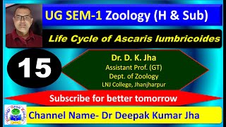 Understanding the Life Cycle of Ascaris lumbricoides From Egg to Adult Worm [upl. by Callas]