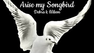 Debra k Wilson  Arise My Songbird Official Music Video [upl. by Salli443]