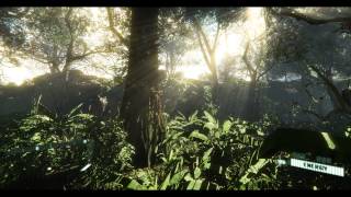 Ultimate Graphics CryEngine 3 4K Jungle [upl. by Ohnuj]