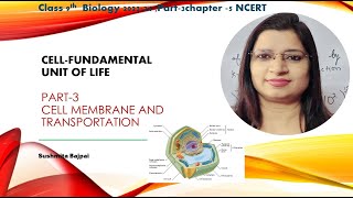 Fundamental Unit of Life  Part 3  Science Biology  Class9th  Sushmita Bajpai  PSG Classes [upl. by Faye130]