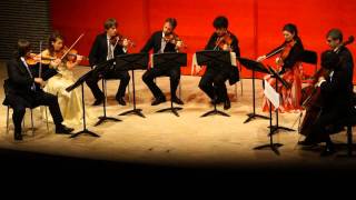 Svendsen String Octet in A major Op 3  III Andante sostenuto [upl. by Nellad]