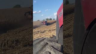 farming agriculture combine harvest caseih [upl. by Mulderig16]