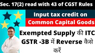 Input tax credit on common capital goods how to reverse ITC on exempted supply in GSTR3B [upl. by Ivanna]