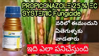 PROPICONAZOLE 25 EC SYSTEMICFungicide వరిలో పాముపొడ తెగులు నివారణhmrTELUGUAGRICULTURE [upl. by Angelica]