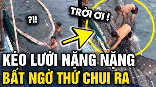 Đánh lưới được MẺ CÁ NẶNG các ngư dân tưởng trúng mánh ai dè BẮT NHẦM CÁ KHỦNG  Tin 3 Phút [upl. by Vonnie]