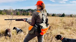 GWP vs WPG Wirehaired Pointers quailhunting in Mississippi [upl. by Aerdnaxela]