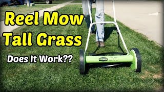 Reel Mowing Tall Grass [upl. by Ymmik]