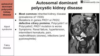 Genetic disorders of the kidney [upl. by Remington]