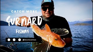 Catch more Gurnard  Tweak Your Rigs [upl. by Donnelly255]