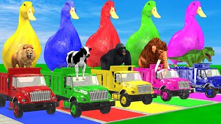 5 Giant Duck CartoonCowMammothTigerLionDinosaurPaint Wild Animals Crossing Fountain Animation [upl. by Finegan]