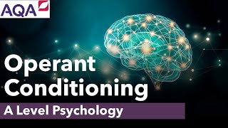 Operant Conditioning  Behaviourism  A Level Psychology [upl. by Alyse]