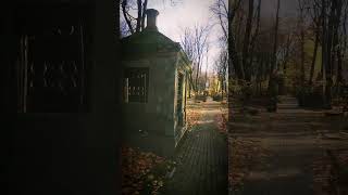 cemetery quick glance♡ кладбище Новодевичье autumn [upl. by Liamsi]