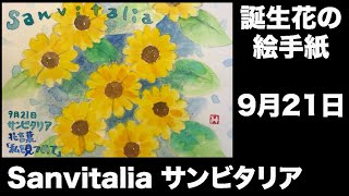 誕生花の絵手紙 9月21日 Sanvitalia サンビタリア [upl. by Alimrahs]