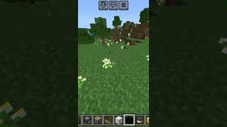 Minecraft pigling with silver colour golden colour mixsing [upl. by Hamer579]