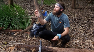 How Many Brazil Nuts Could You Eat If You Were Starving in the Rainforest [upl. by Orel]