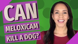 Can meloxicam kill a dog [upl. by Rania]