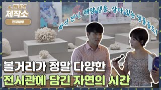 🔎현장탐방🔎 I 🐟해양 생물들의 과거🐋 I 생방송투데이 프리 [upl. by Cazzie257]