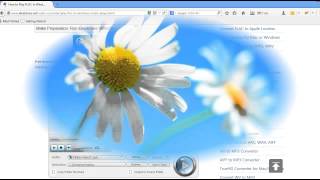 Easy Way to Play FLAC in WMP  Convert FLAC to Windows Media Player [upl. by Schou322]