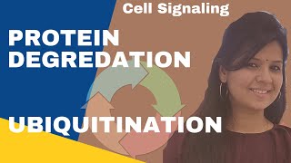 Ubiquitination Proteasome Pathway ll Protein Degradation csirnet gatelifesciences [upl. by Analra]