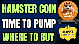 🚀 Hamster Price Prediction Today  Hamster Coin News Today  Hamster Coin Hold or Sell [upl. by Hildebrandt]