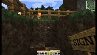 Minecraft Lets Play 066  Der neue Hühnerstall Deutsch HD [upl. by Frasch19]