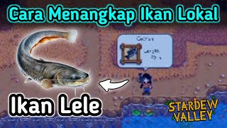 Mancing Lele Catfish Di Stardew Valley [upl. by Macdonald]